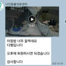 나인동물의료센터 이미지