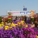 서구청 옥상생태공원 이미지