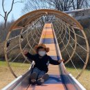 금마어린이집 이미지