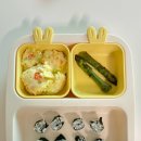 9~10개월 아기 떡잎이의 후기이유식 죽이유식 식단 모음