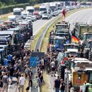 강국농장 이미지