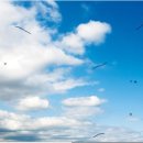 구침가한의원 이미지