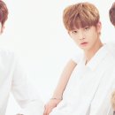 배진영 카카오 검색결과