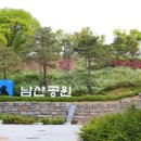 강아지와 산책 이미지
