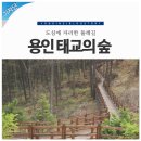 이사주당 유한규묘 | [용인 둘레길] 용인 한국외국어대학교 캠퍼스 둘레길 "태교의 숲"