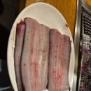 갈릴리농원
