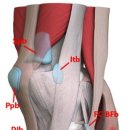 탄벌동-5 이미지