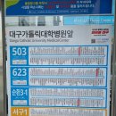 대구가톨릭대학병원 앞 이미지