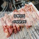 미정양꼬치 | [증평 양꼬치] 미정양꼬치 : 다양한 요리류