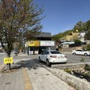 노랑김밥 | 충주ㅣ충주 맛집💛칠금동 '노랑김밥' 김밥 샌드위치 정복! 포슬포슬 계란폭탄 김밥의 정석💛
