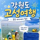 (유)고성늘푸른사람들 | 올여름에도 다시찾은 강원도 고성/2박3일 이번에도 만족한 힐링여행
