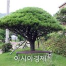 하늘빛계곡 이미지