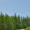 정시은부동산공인중개사사무소 이미지