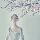 더화이트A 이미지