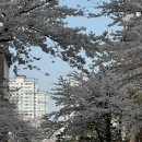 글라스타 하계점 | [노원구 안경] 글라스타 하계점