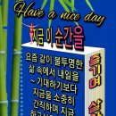 라오송