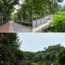 다담바지락칼국수 이미지