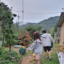 사일산 이미지