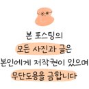 쓰기로 표현력 키우기(초4) 이미지