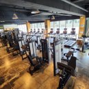 레이 휘트니스 이미지