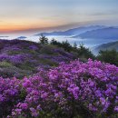 지리산