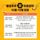 황금마당 | 부자의 앞마당을 쓸어라! 황금후추님 후기