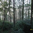 계명산자연휴양림 이미지