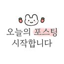 한라산똥돼지 이미지