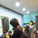 퀸즈헤나 염색 이미지