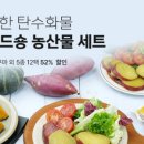 아침닭 이미지