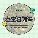 소계곡 | 울산 평상계곡 추천 아이랑 가족여행하기 좋은 소호랑계곡