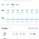 아띠네이처