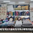 이불집언니