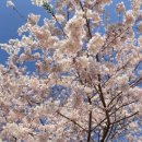 세븐일레븐 종로사직점 | 서울 등산 | 겨울 인왕산 초보 산행 준비물과 꿀팁_인왕산