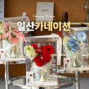 일산 꽃집 어버이날 카네이션 꽃배달 커들플라워
