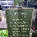 어항단지로 | 키우기 쉬운 물고기 베타 6개월 키우고 있는 후기(물고기 키우기 추천, 다이소 어항, 베타 어항)