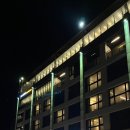 오션 스위트 애월 | 제주 애월 가성비 숙소 다인오세아노 호텔 오션스위트, 인피니티풀 정보 공유