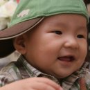 스튜디오 홍시 Daum카페
