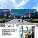 수원박물관 | 광복절 당일치기 추천 아이와 무료로 즐긴 수원박물관 &amp; 어린이 체험 후기