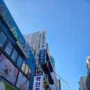 아잉독 애견카페 | 의정부 애견카페 킹독 내돈내산 후기