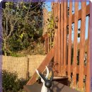 좋은펜션민박 이미지