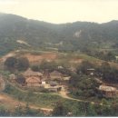 독바우 이미지