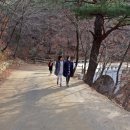 왕피천공원(동쪽) 이미지