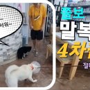 누나펜션 이미지