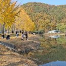 소금랜드 이미지