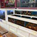 학동해송횟집 이미지