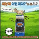정든