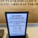 남양주 북한강뷰 베이커리카페 아유스페이스 후기