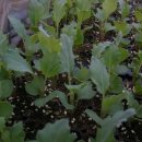 만송농장 이미지