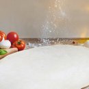 바른개 생활 이미지